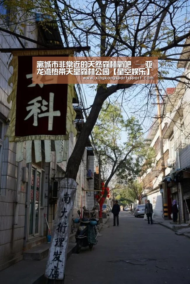 离城市非常近的天然森林氧吧 --亚龙湾热带天堂森林公园【星空娱乐】(图2) 星空体育