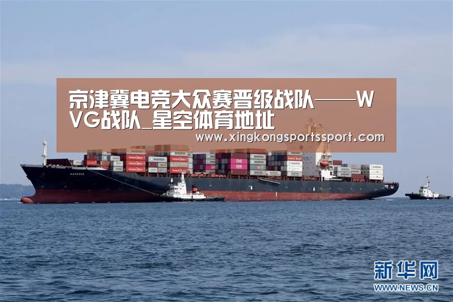 京津冀电竞大众赛晋级战队——WVG战队_星空体育地址(图2)