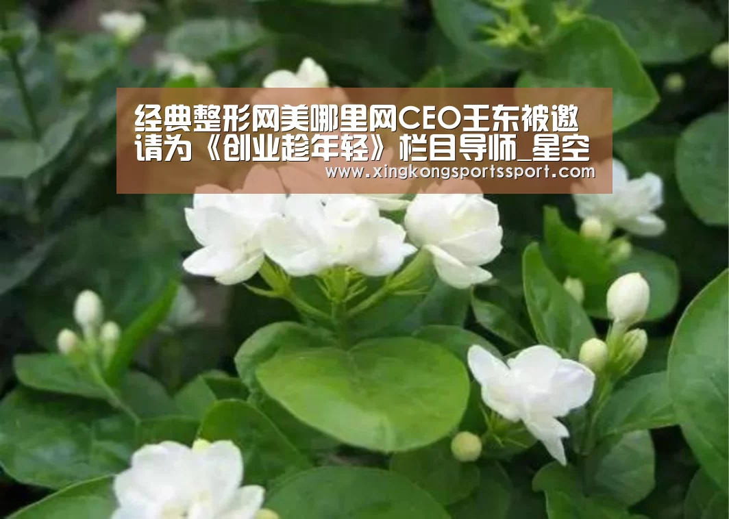 经典整形网美哪里网CEO王东被邀请为《创业趁年轻》栏目导师_星空娱乐(图1) 星空体育地址